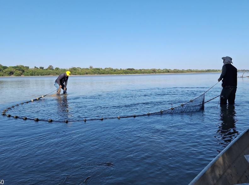 Estudo de contaminação do pescado