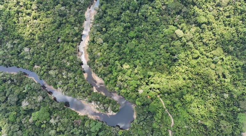 Plano de recuperação de áreas degradadas em paraná